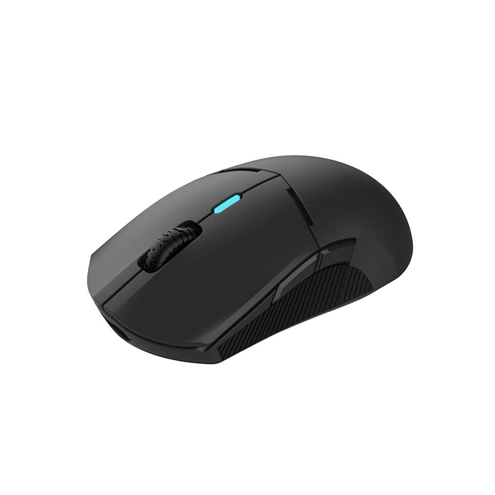Gaming Mouse DX900