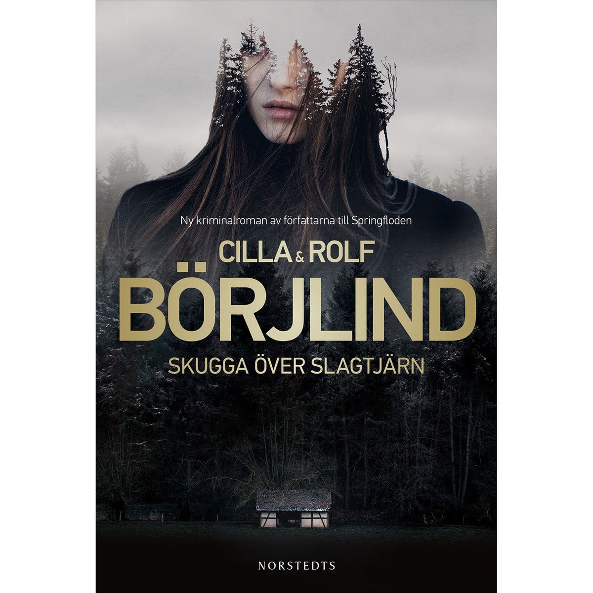 Rönning/Stilton - Bok 9: Skugga över Slagtjärn