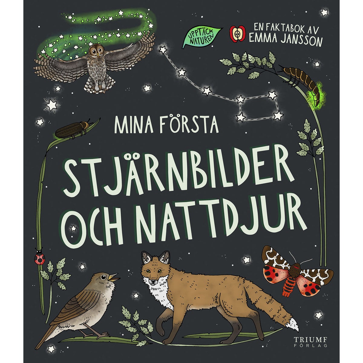 Mina första stjärnbilder och nattdjur