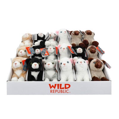 WILD R Pocketkins Cats ECO  18pcs -Asst CDU