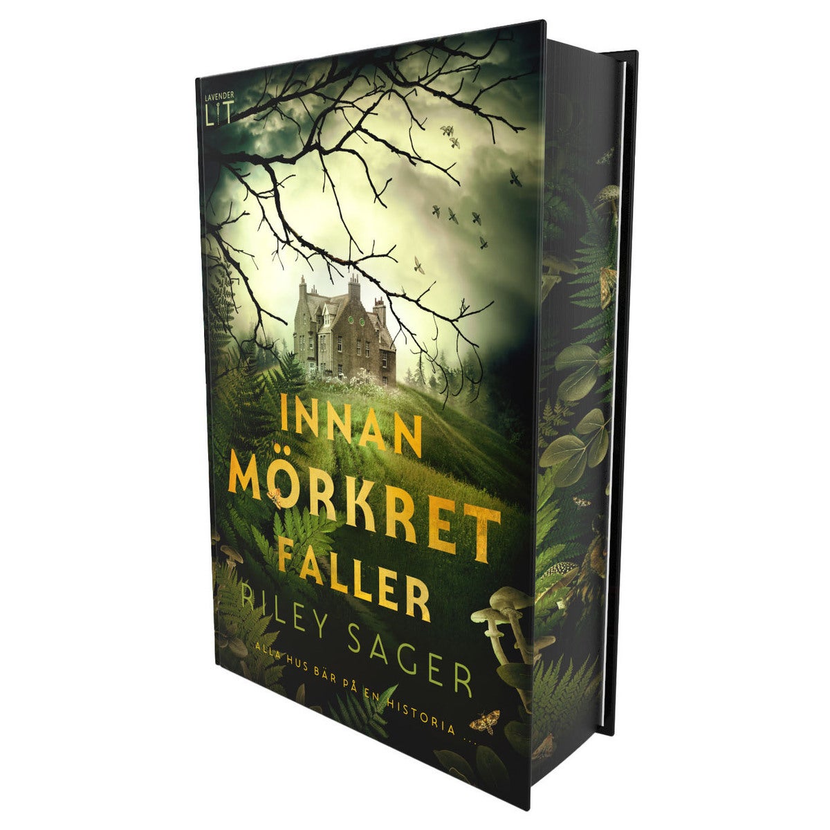 Innan mörkret faller