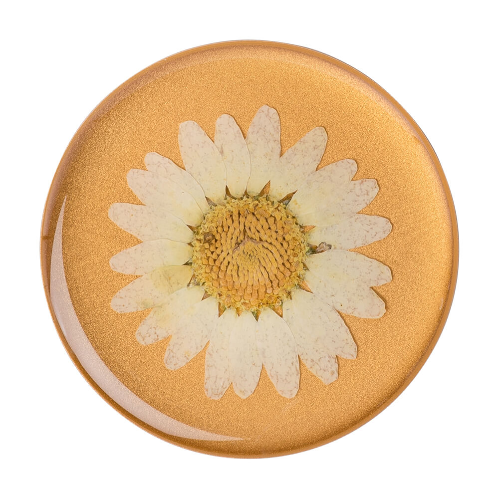 POPSOCKETS Pressed Flower White Daisy Removable Grip with Standfunction Premium 