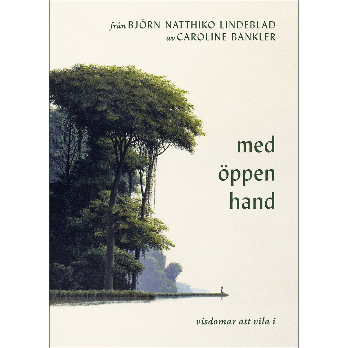Från Björn Natthiko Lindeblad: Med öppen hand - visdomar att vila i