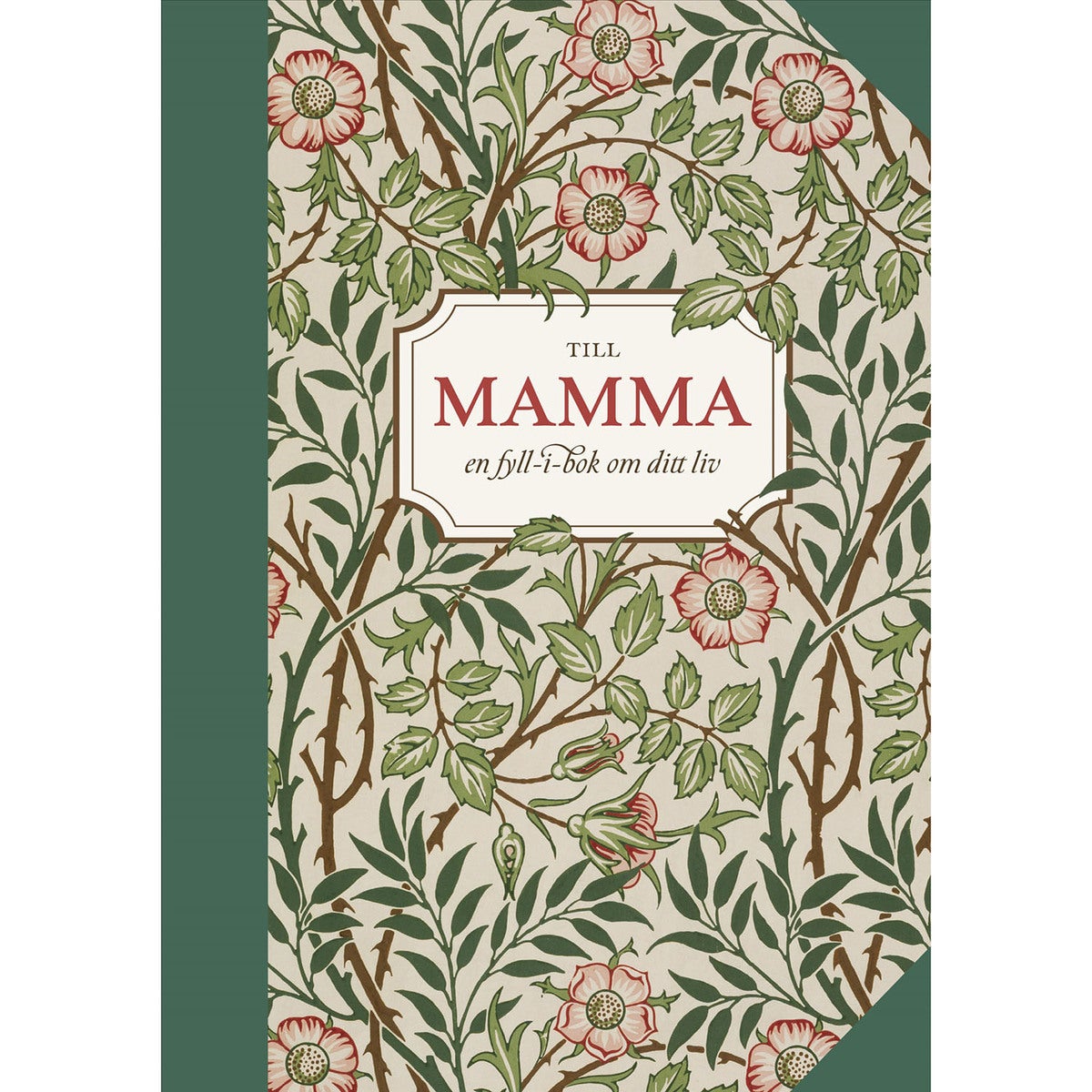 Till mamma - en fyll-i-bok om ditt liv