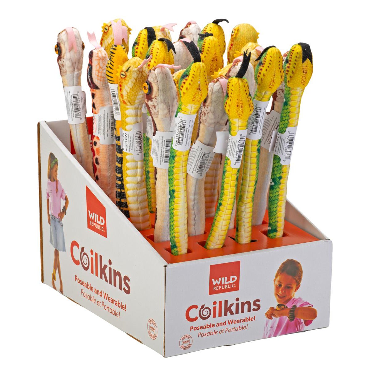COILKINS SNAKE DISPLAY 24 