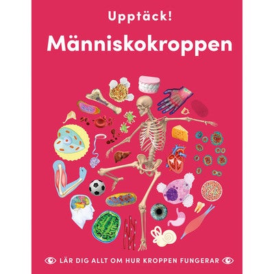 Upptäck människokroppen - Lär dig allt om hur kroppen fungerar