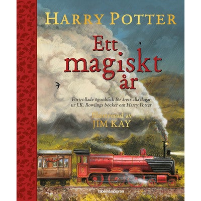 Ett magiskt år
