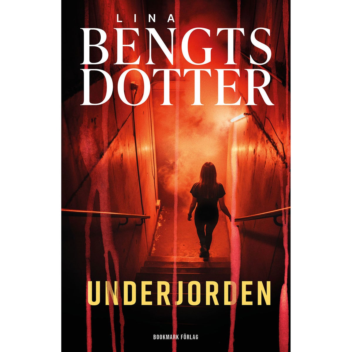 Sakka Pienni - Bok 2: Underjorden