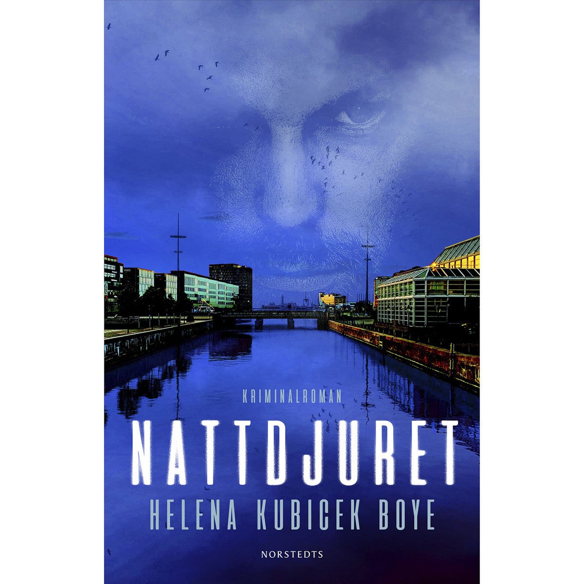 Profileraren - Bok 2: Nattdjuret (pocket)