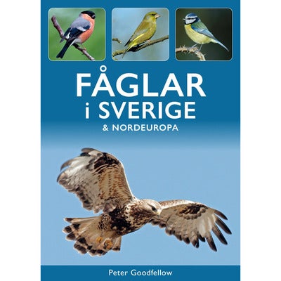 Fåglar i Sverige & Nordeuropa