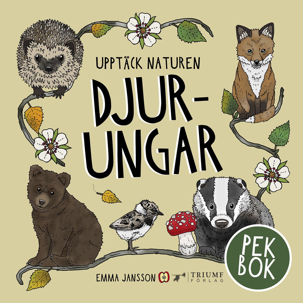 Upptäck naturen -  Djurungar