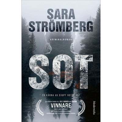 Vera Bergström - Bok 4: Sot