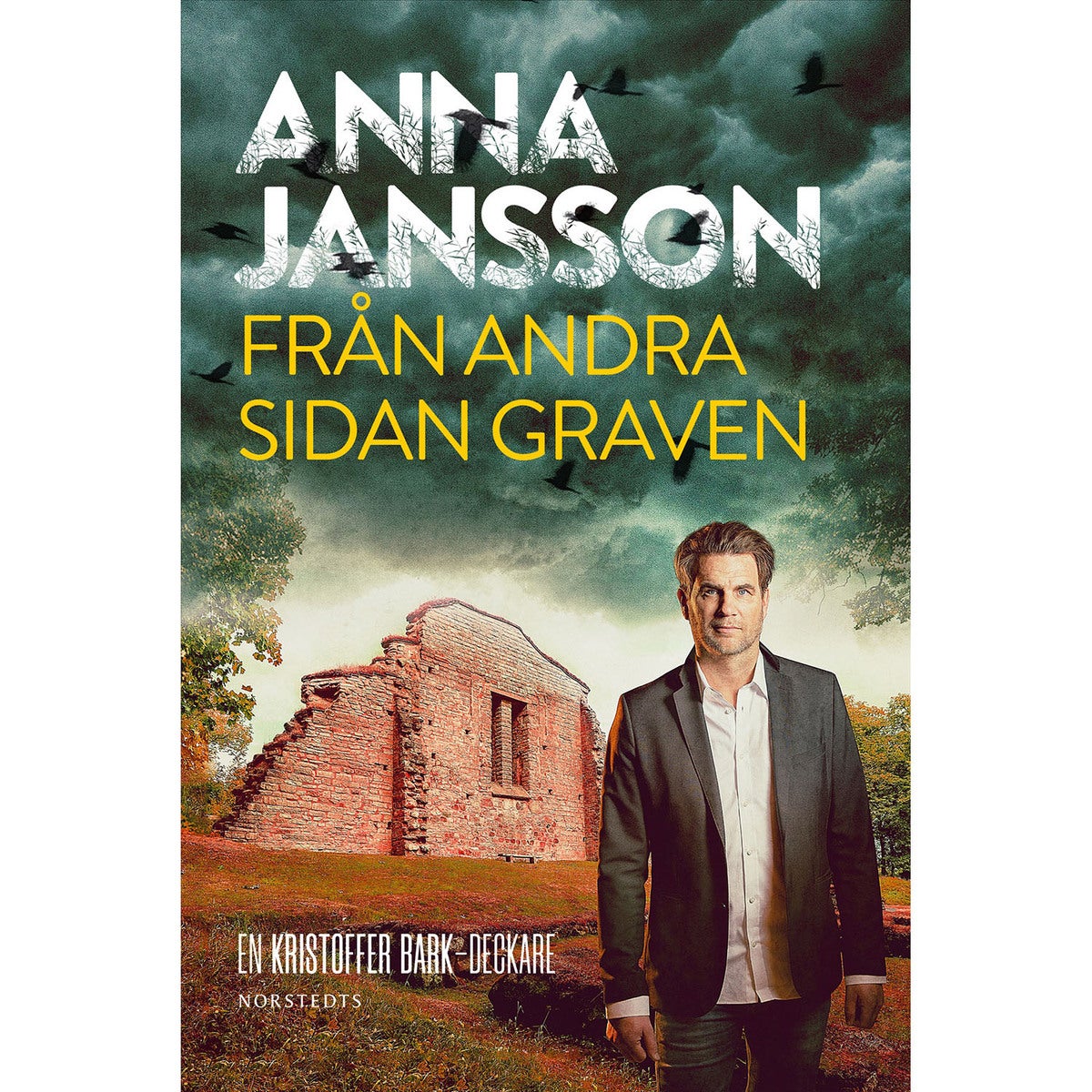 Bergslagens blå - Bok 8: Från andra sidan graven