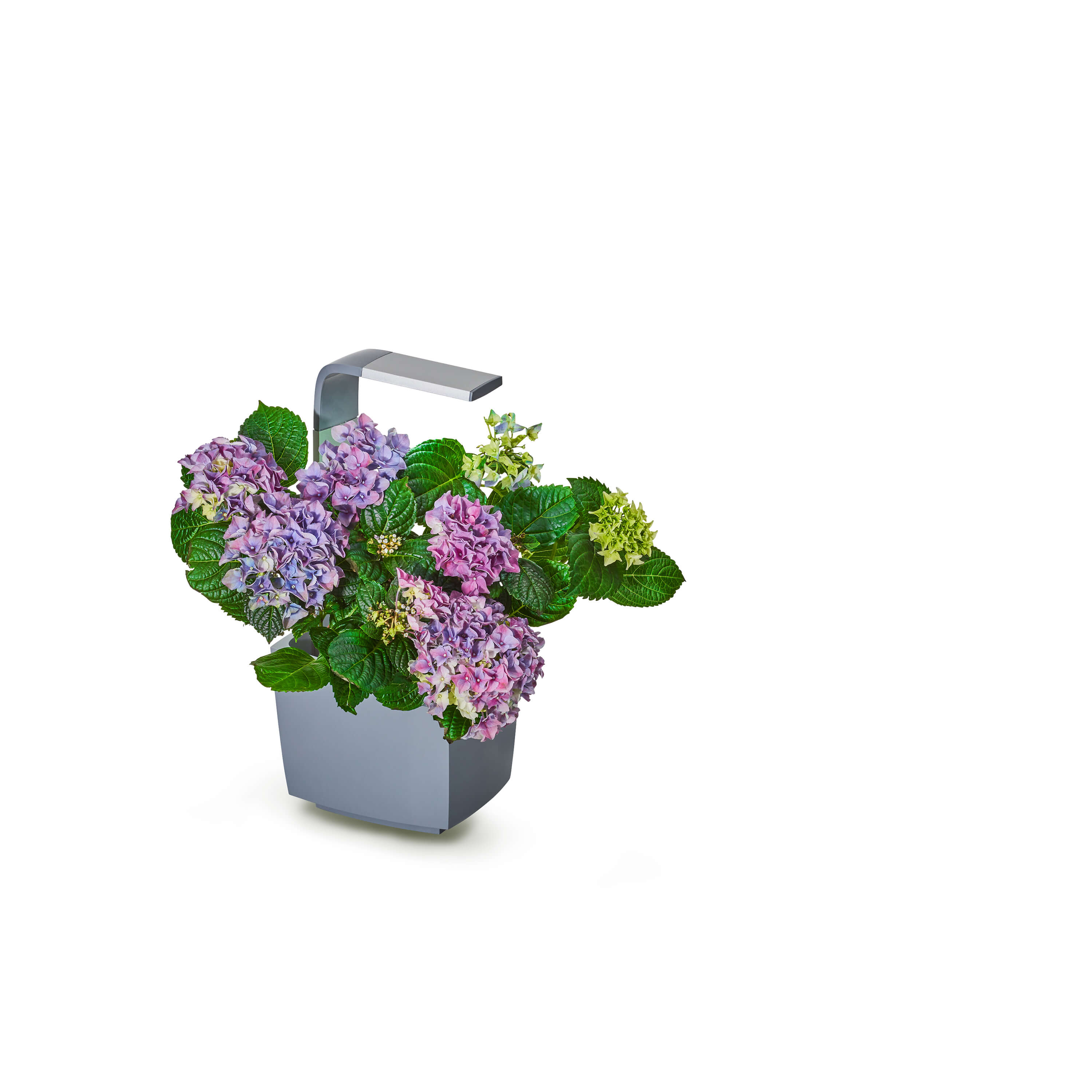 TREGREN Kitchen Garden T3 Harmaa