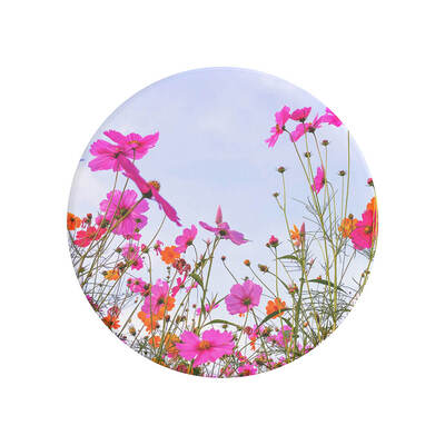 PopGrip Fuschia Blooms
