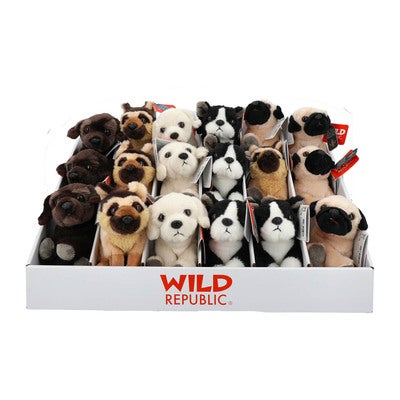 WILD R Pocketkins Dogs ECO  18pcs -Asst CDU