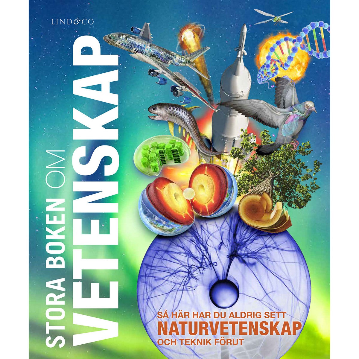 Stora boken om vetenskap: Så här har du aldrig sett naturvetenskap och teknik förut