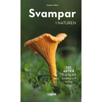 Svampar i naturen: 127 arter - guide till svampar nära