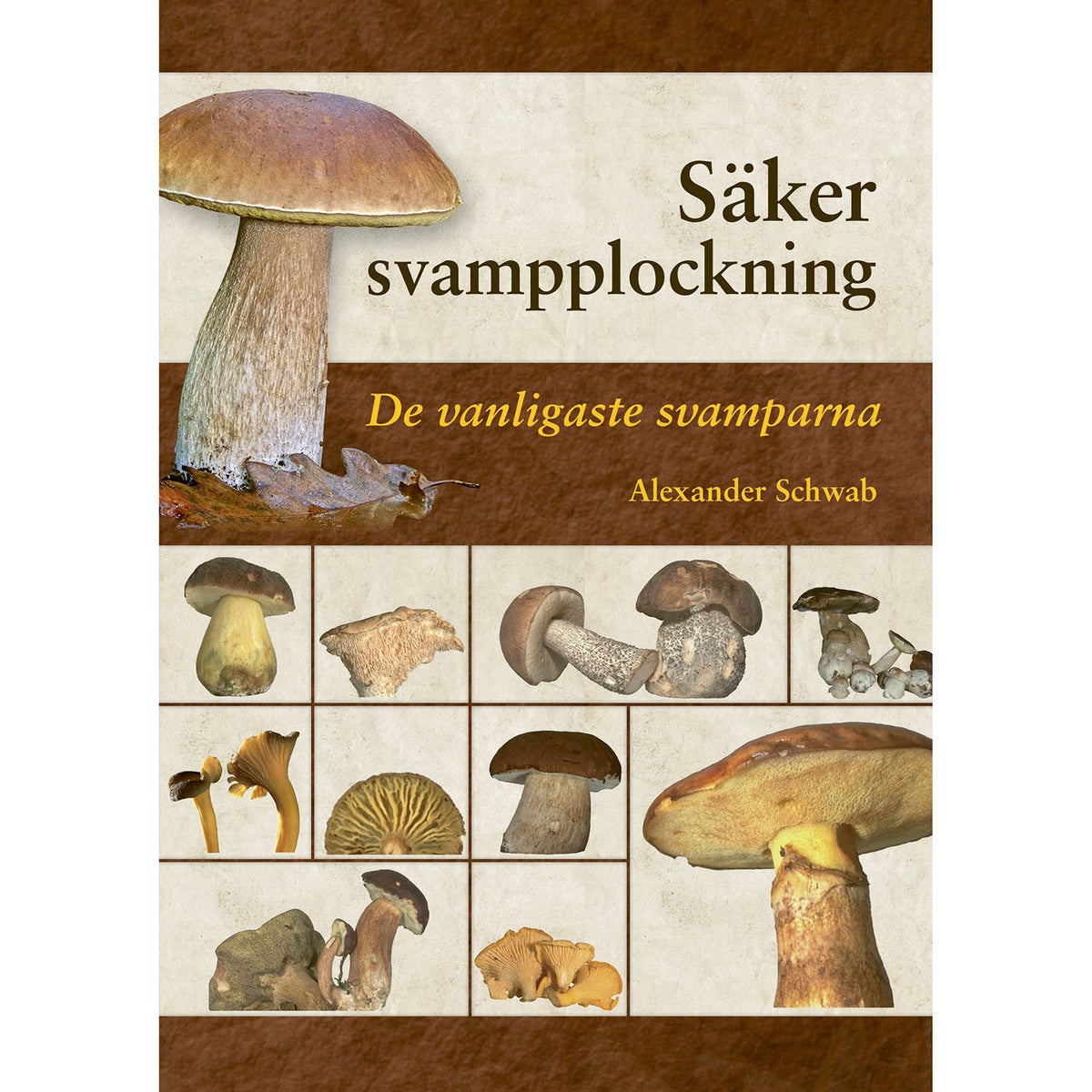Säker svampplockning: De vanligaste svamparna