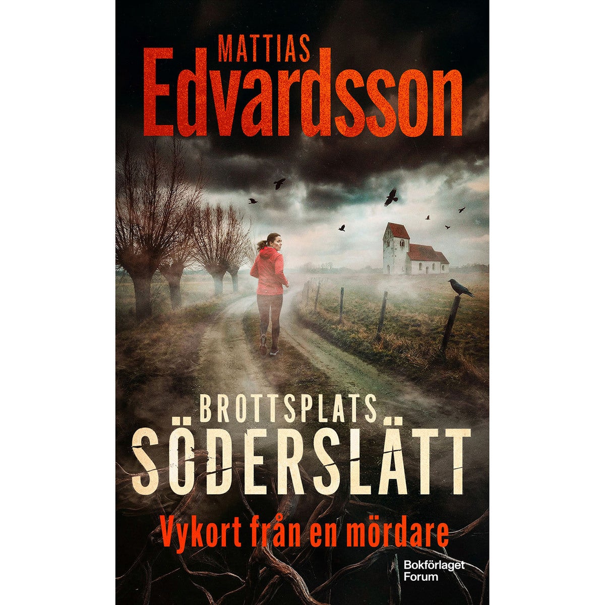 Brottsplats Söderslätt - Bok 2: Vykort från en mördare (pocket)