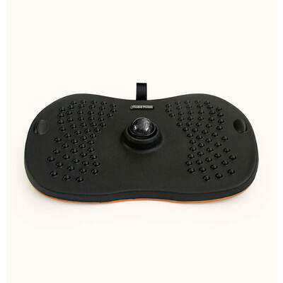 SWEDISH POSTURE  Balance Board Standy