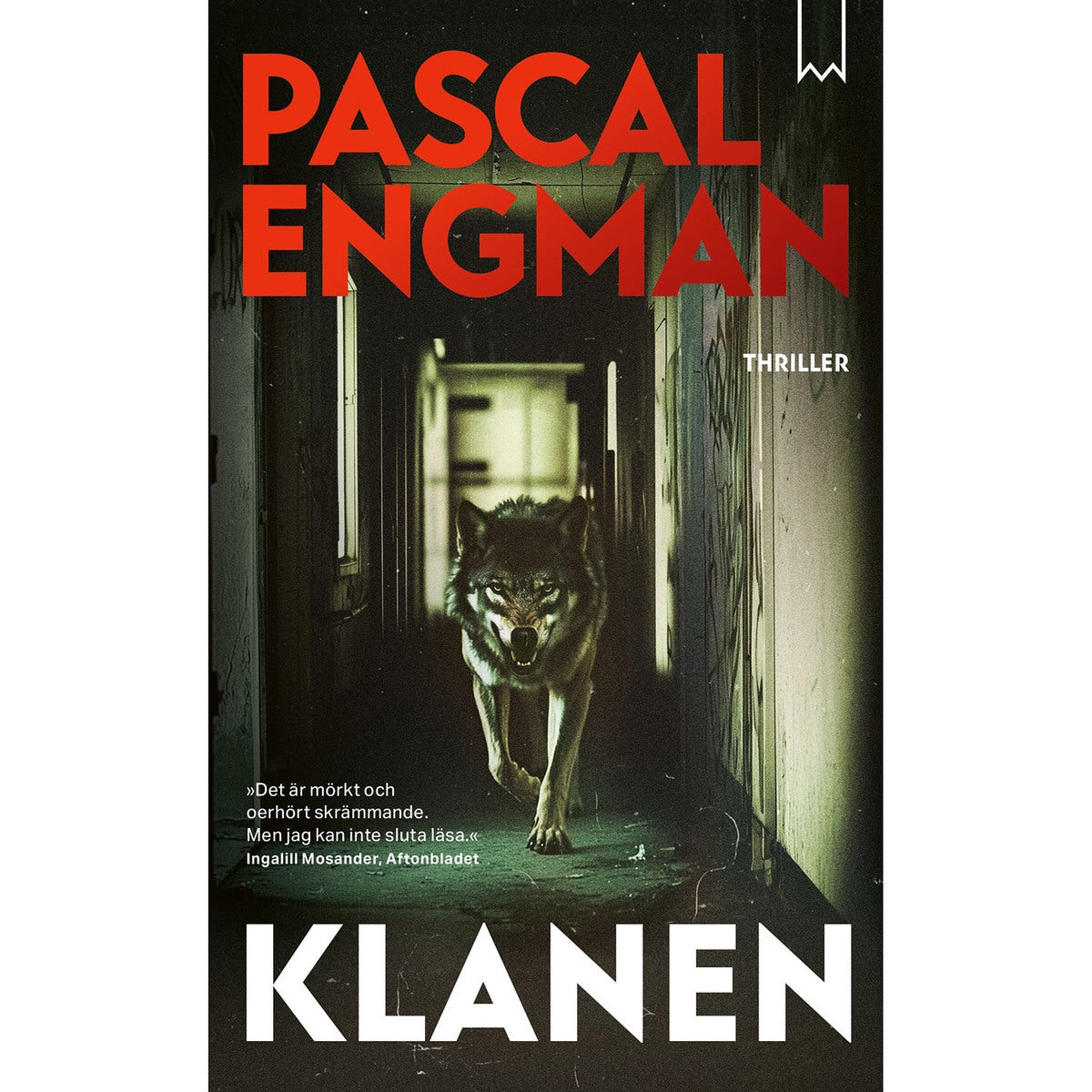 Klanenserien - Bok 1: Klanen (pocket)