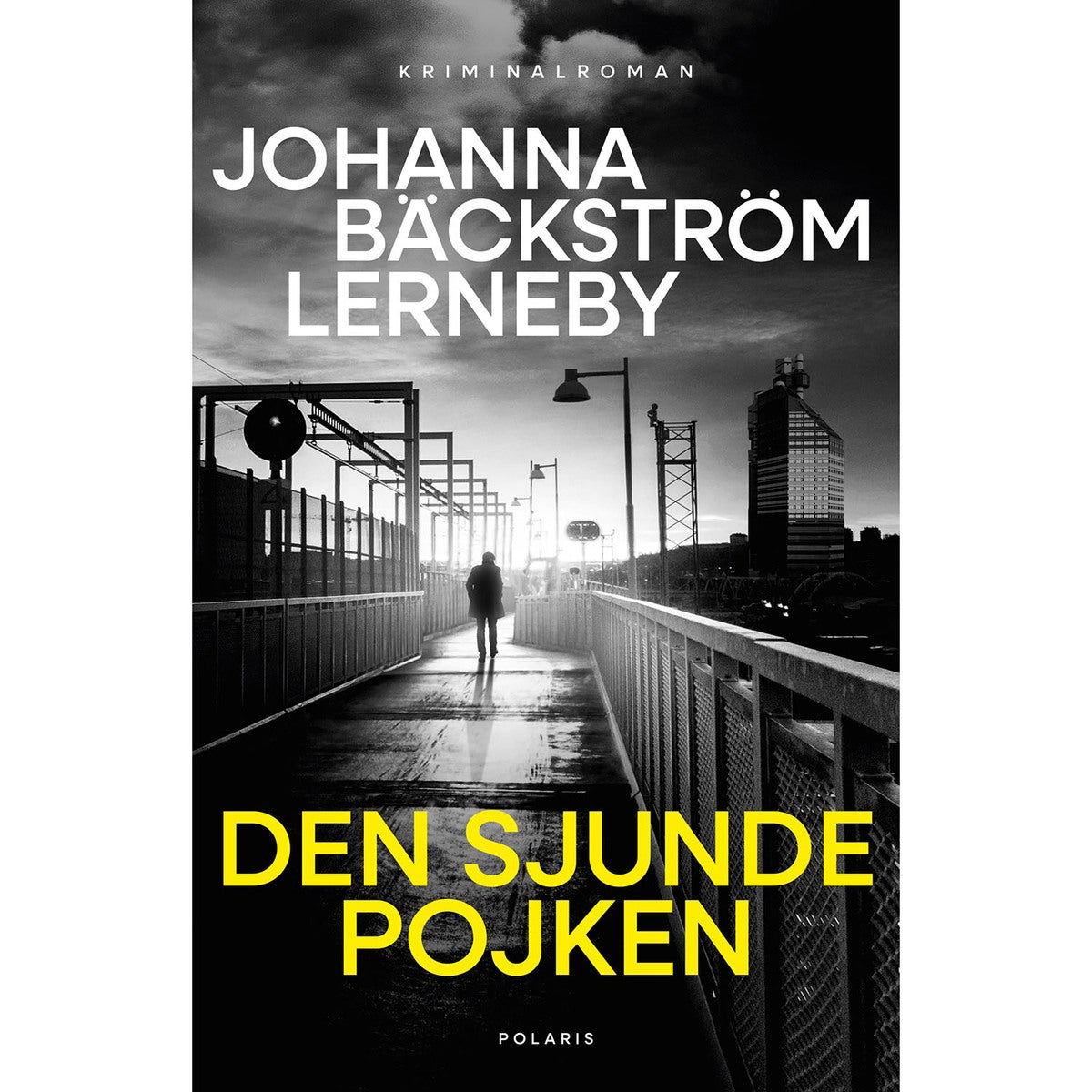 Hanna Back - Bok 1: Den sjunde pojken (pocket)