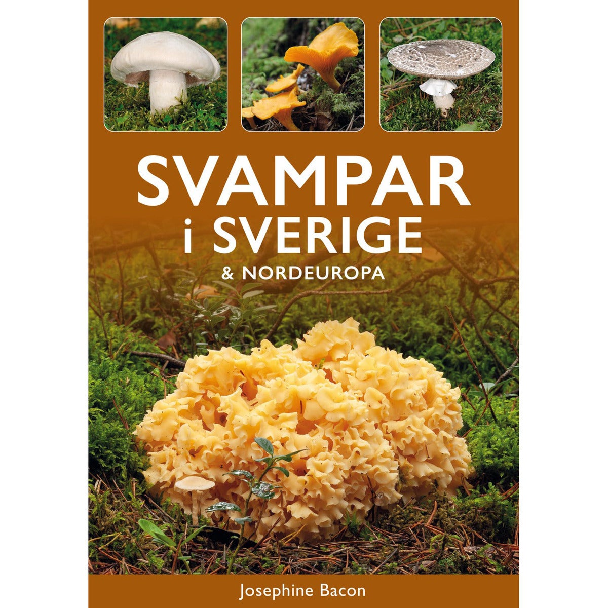 Svampar i Sverige & Nordeuropa