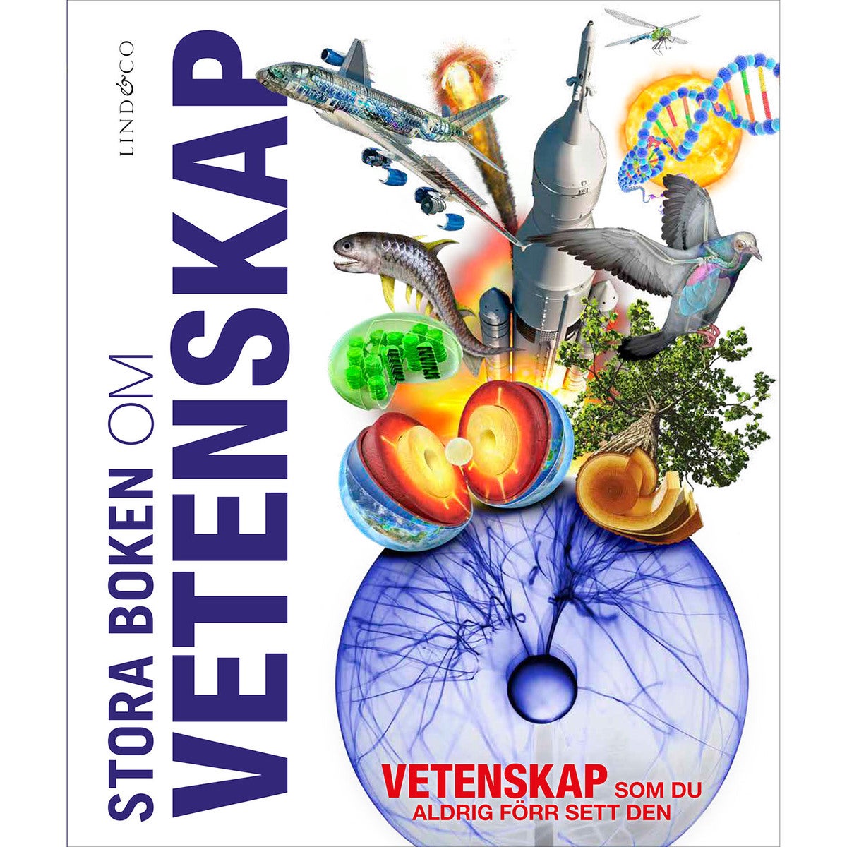 Stora boken om vetenskap