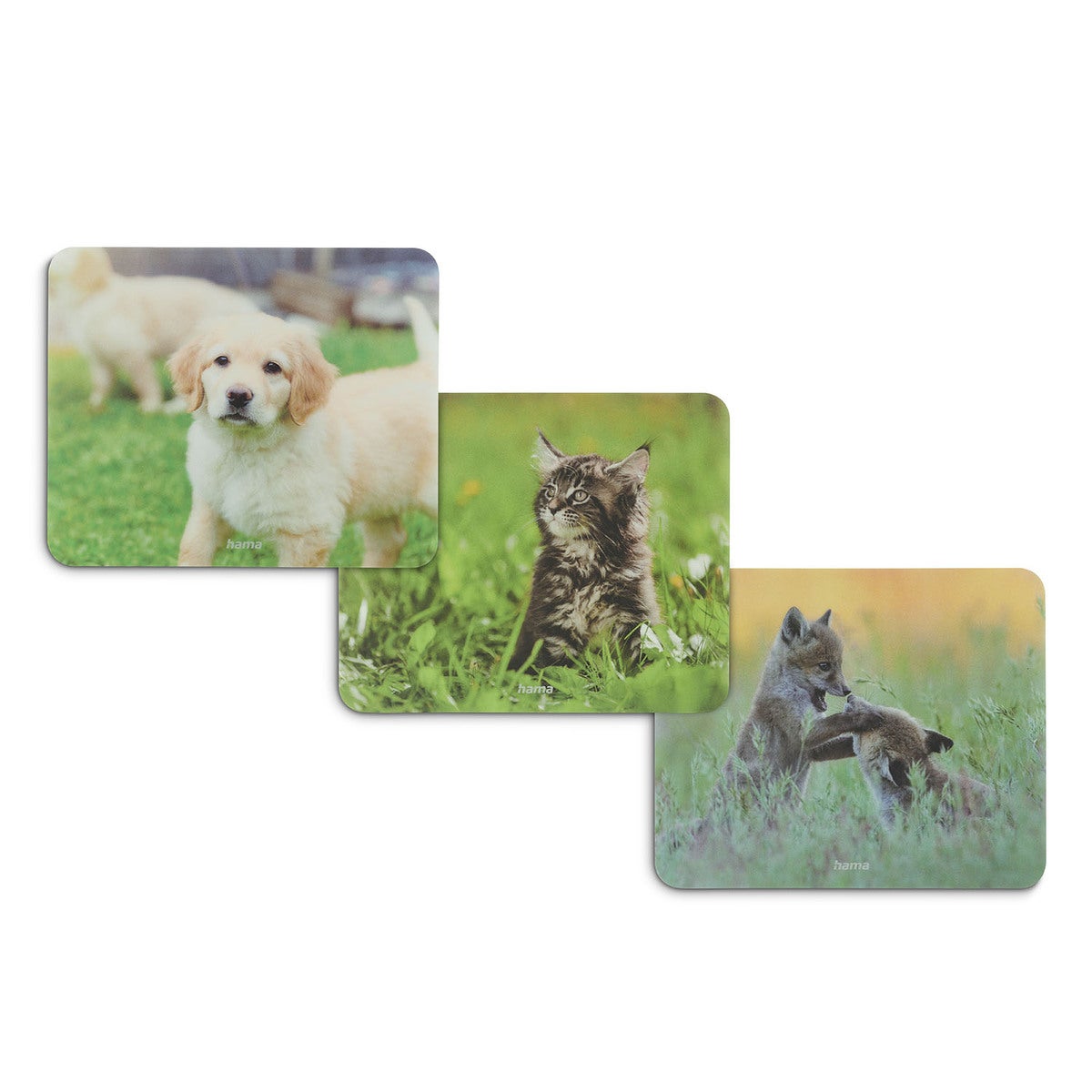 Mouse Pad Animal Display 12 pcs