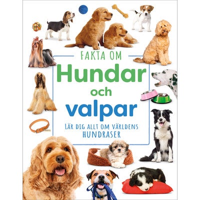 Fakta om hundar och valpar: Lär dig allt om världens hundraser