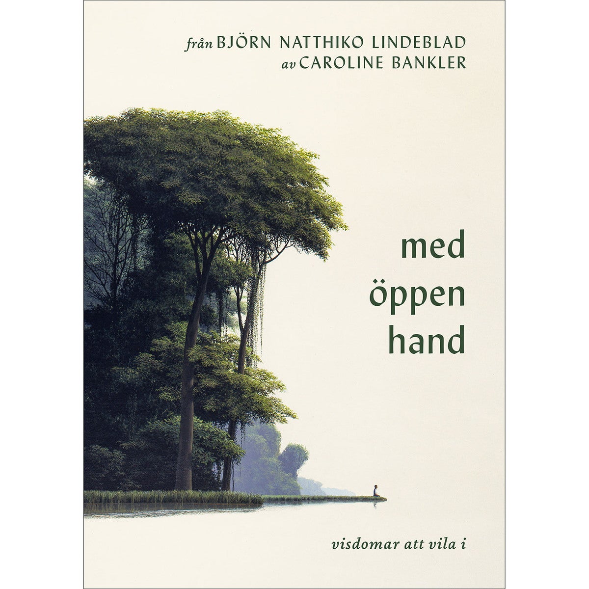 Från Björn Natthiko Lindeblad: Med öppen hand - visdomar att vila i