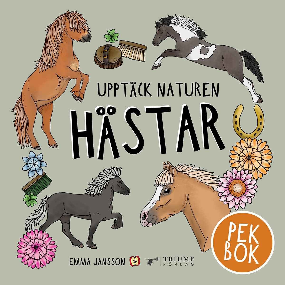 Hästar