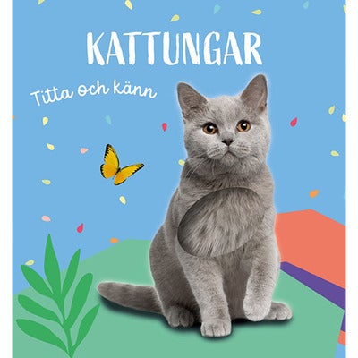 Titta och känn: Kattungar