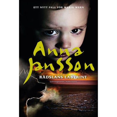 Maria Wern - Bok 26: Rädslans labyrint