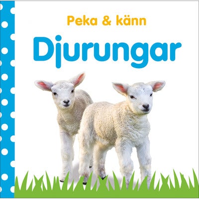 Peka & känn: Djurungar