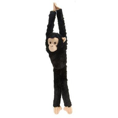 Gosedjur Hanging Monkeys Schimpans