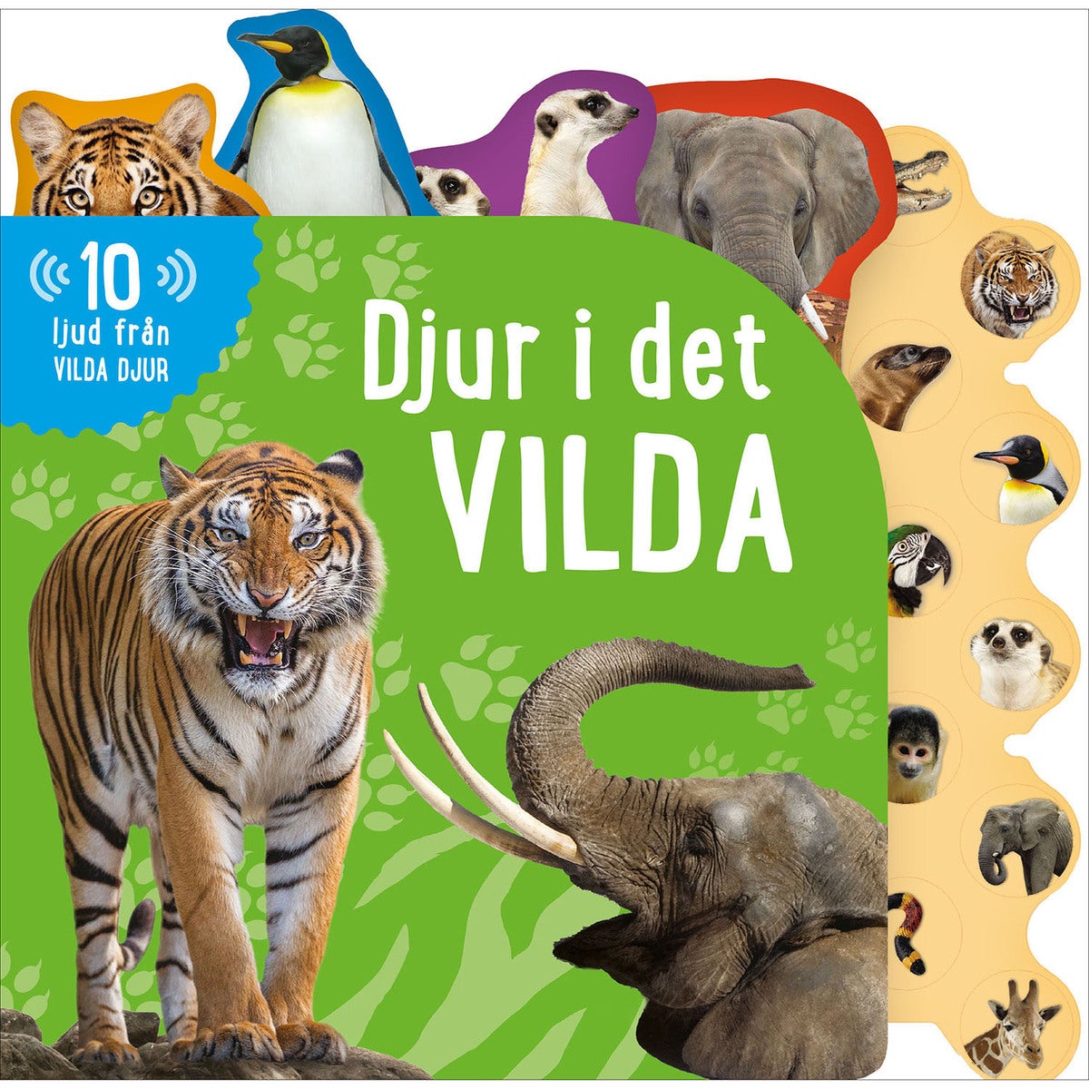 Djur i det vilda (med ljud)