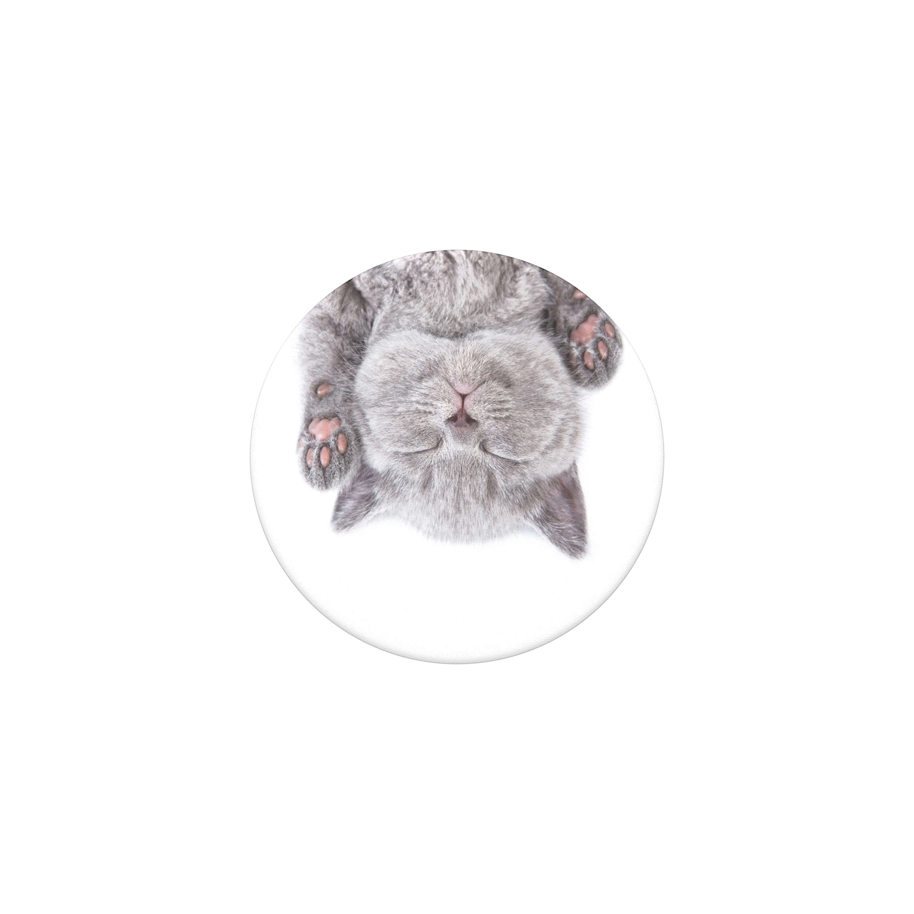 POPSOCKETS Cat Nap Removable Grip with Standfunction