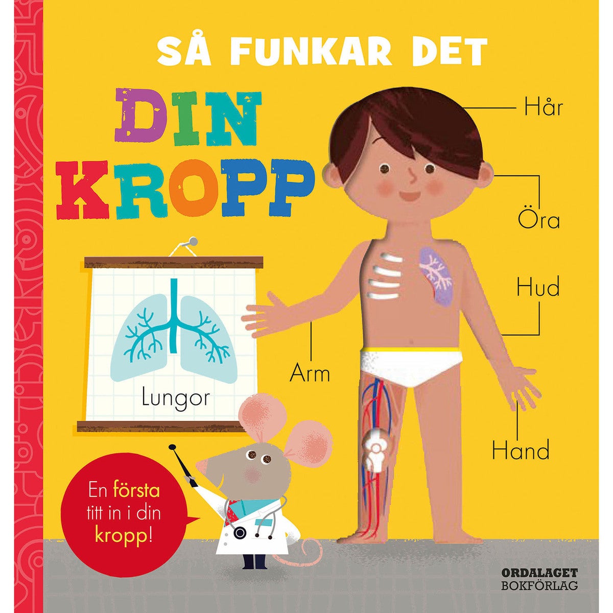 Så funkar det: Din kropp