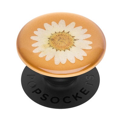 POPSOCKETS Pressed Flower White Daisy Irrotettava Grip Telinetoiminnolla Premium 
