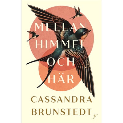 Mellan himmel och här