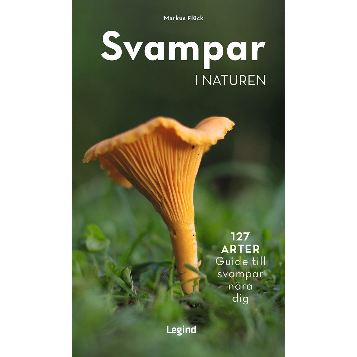 Svampar i naturen: 127 arter - guide till svampar nära