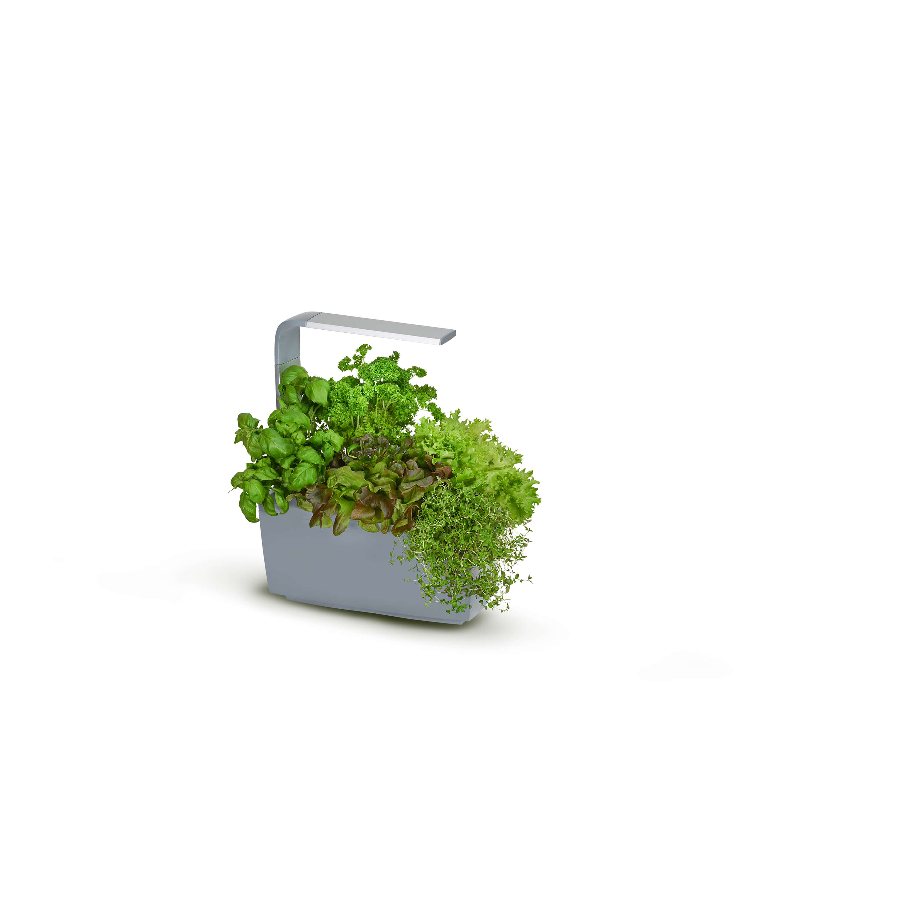 TREGREN Kitchen Garden T6 Harmaa