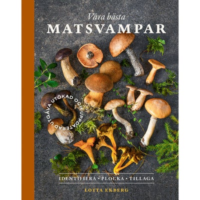 Våra bästa matsvampar - Identifiera, plocka, tillaga