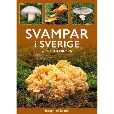 Svampar i Sverige & Nordeuropa