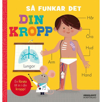 Så funkar det: Din kropp