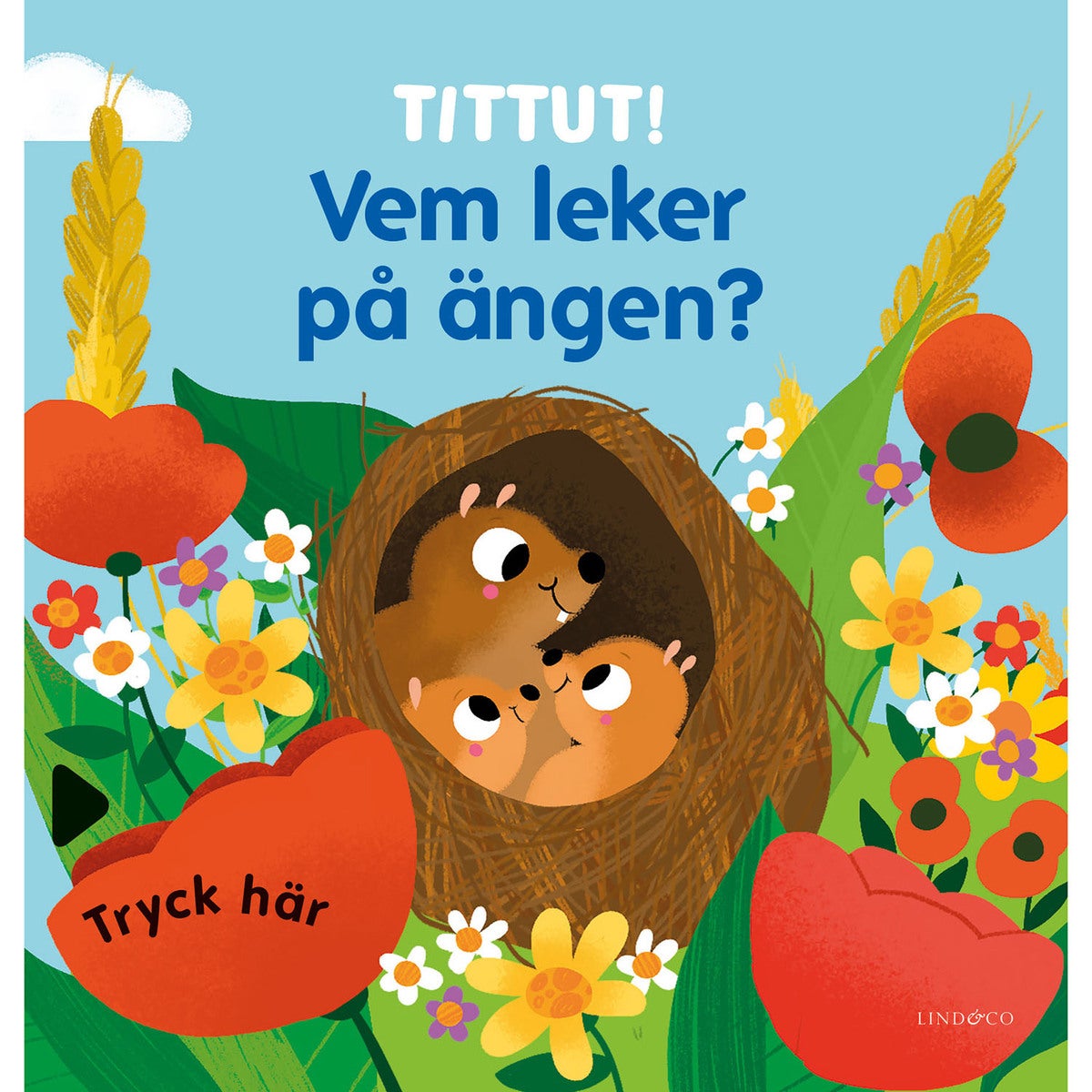 Tittut! Vem leker på ängen?