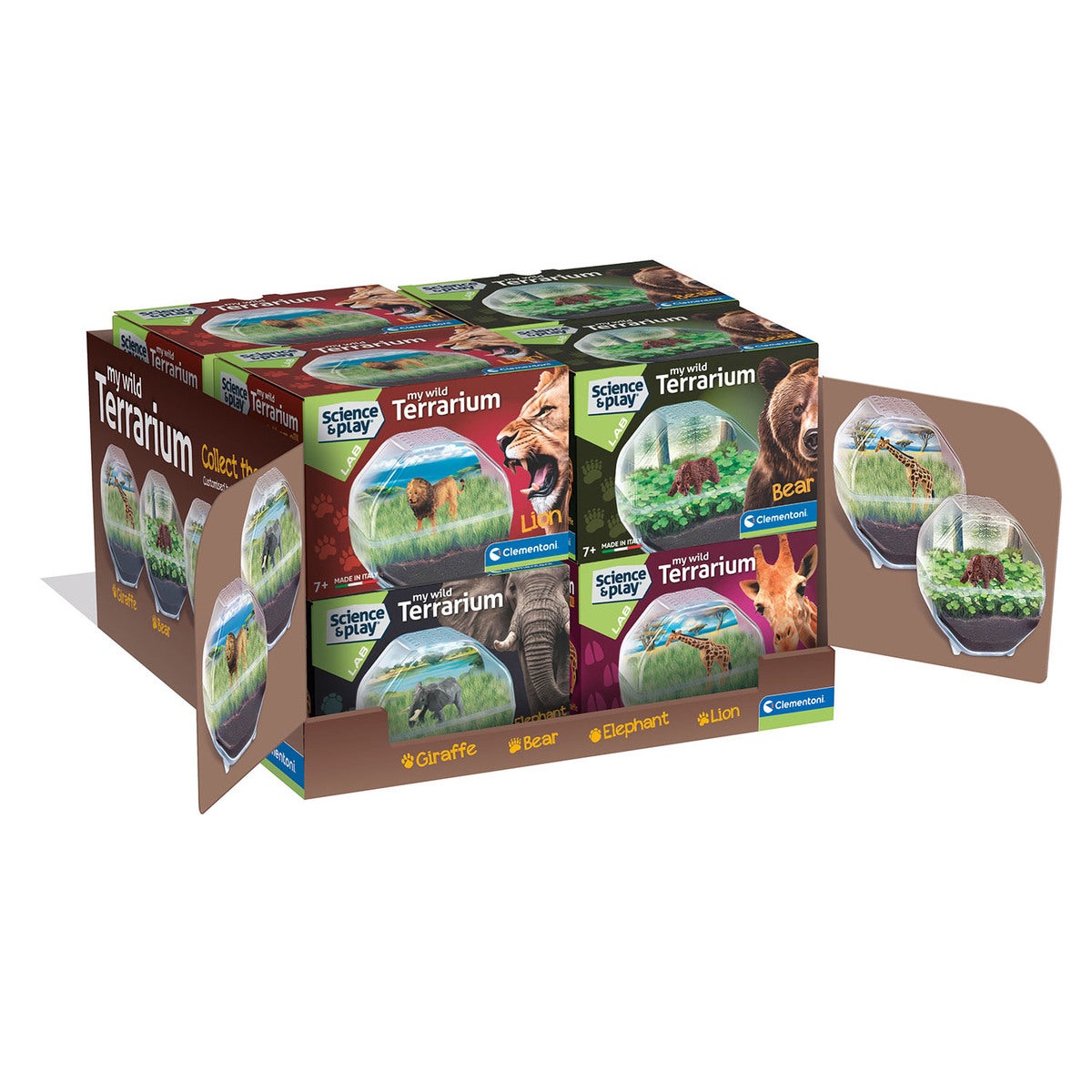 Terrarium Science And Play My Wild Terrarium (Assortert)