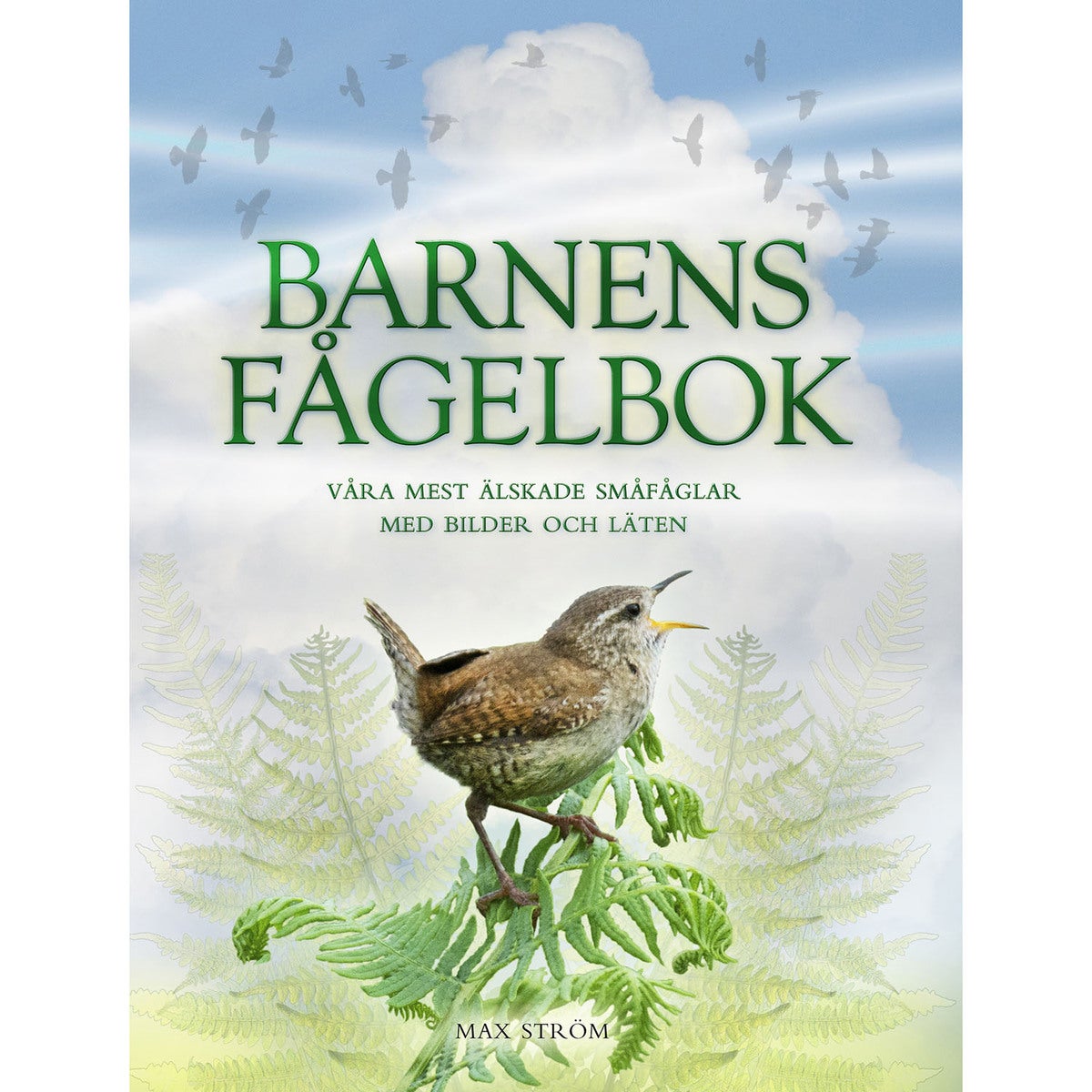 Barnens fågelbok - våra mest älskade småfåglar med bilder och läten